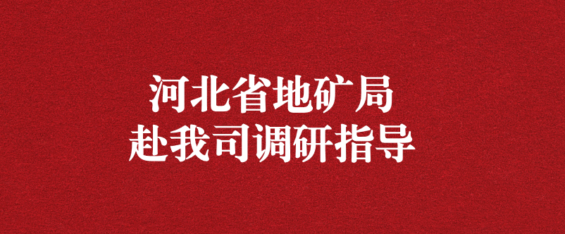 河北省地矿局党组书记卢瑞卿赴天晟源环保调研指导